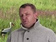 Jak pomagać bocianom (nie tylko wiosną) radzą przyrodnicy i Grupa Energa
