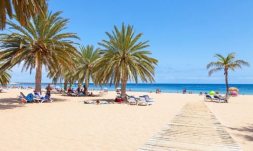 Słoneczne wakacje w Europie? Tylko na Teneryfie!