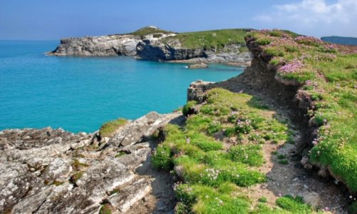 Podróże z kinem w tle