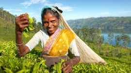 Wakacyjne podróże z marką Akbar - co kryje Sri Lanka? LIFESTYLE, Podróże - Myśląc o idealnym miejscu na wakacje, przed oczami ukazuje się nam rajska wyspa z zapierającymi dech w piersiach widokami.